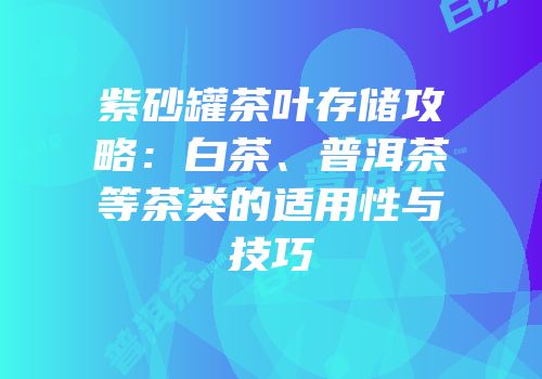 紫砂罐茶叶存储攻略：白茶、普洱茶等茶类的适用性与技巧