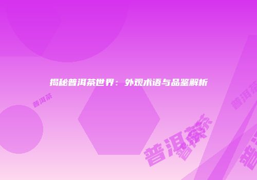 揭秘普洱茶世界：外观术语与品鉴解析