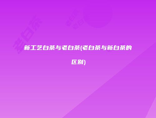 新工艺白茶与老白茶(老白茶与新白茶的区别)
