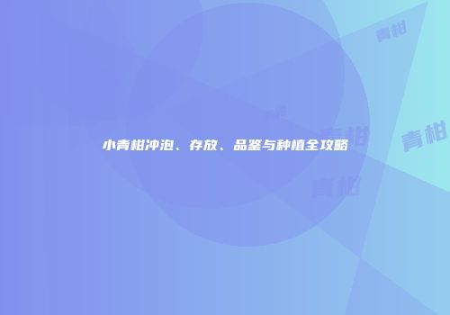 小青柑冲泡、存放、品鉴与种植全攻略