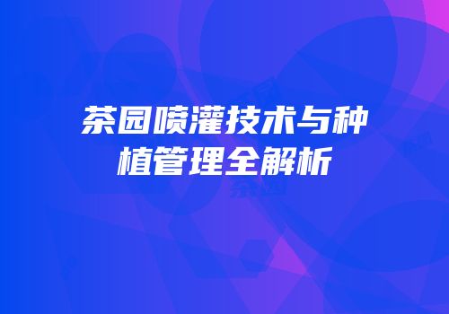 茶园喷灌技术与种植管理全解析