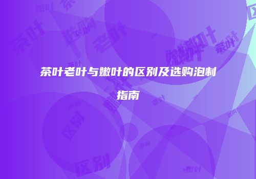 茶叶老叶与嫩叶的区别及选购泡制指南