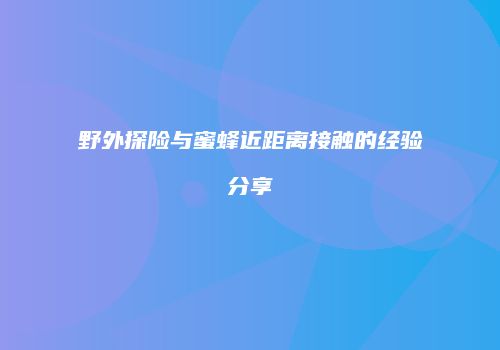 野外探险与蜜蜂近距离接触的经验分享