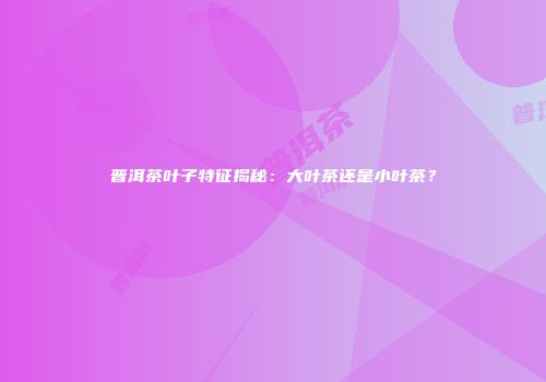 普洱茶叶子特征揭秘：大叶茶还是小叶茶？