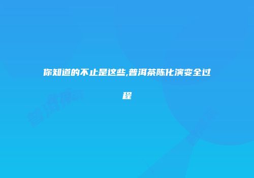 你知道的不止是这些,普洱茶陈化演变全过程