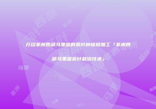 介绍非洲西部马里国的茶叶种植和加工「非洲西部马里国茶叶栽培技术」