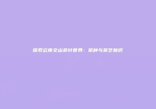 探索云南文山茶叶世界：茶种与茶艺新识