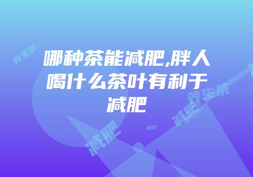哪种茶能减肥,胖人喝什么茶叶有利于减肥