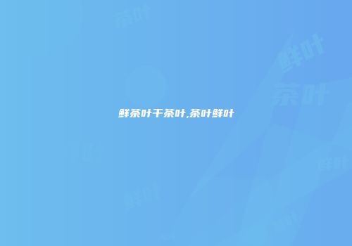 鲜茶叶干茶叶,茶叶鲜叶