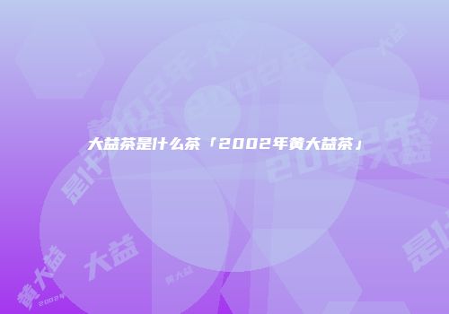 大益茶是什么茶「2002年黄大益茶」