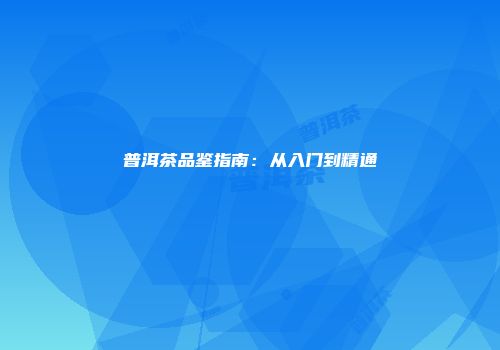普洱茶品鉴指南：从入门到精通