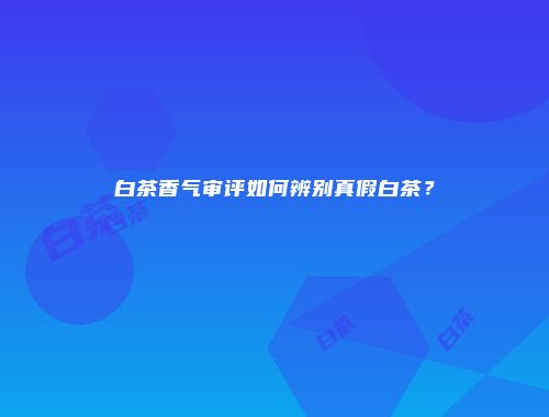白茶香气审评如何辨别真假白茶？