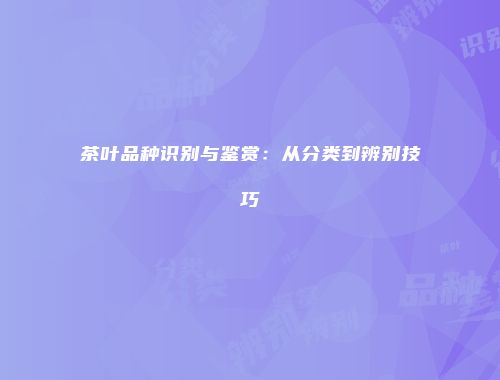 茶叶品种识别与鉴赏：从分类到辨别技巧