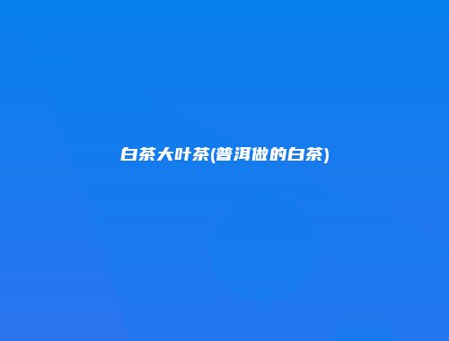 白茶大叶茶(普洱做的白茶)