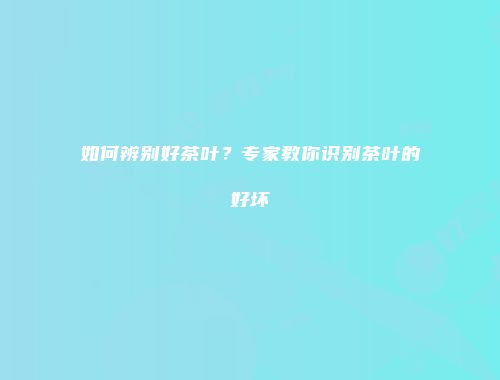 如何辨别好茶叶？专家教你识别茶叶的好坏