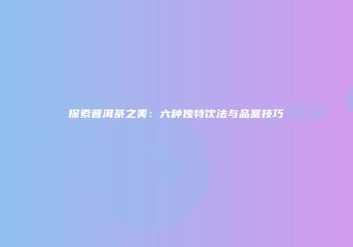探索普洱茶之美：六种独特饮法与品鉴技巧