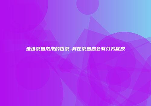 走进茶园浓浓的香茶-身在茶园总会有芬芳绽放