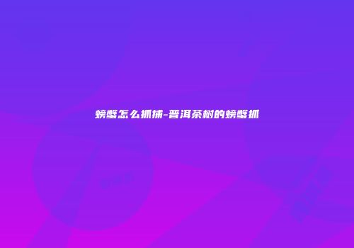 螃蟹怎么抓捕-普洱茶树的螃蟹抓