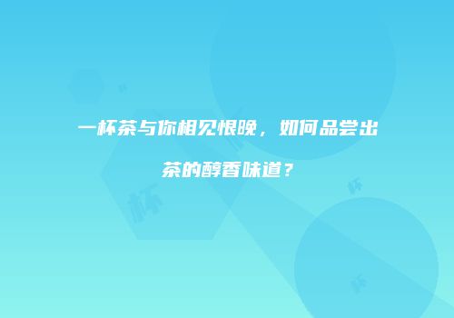 一杯茶与你相见恨晚，如何品尝出茶的醇香味道？