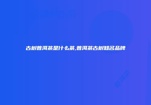 古树普洱茶是什么茶,普洱茶古树知名品牌