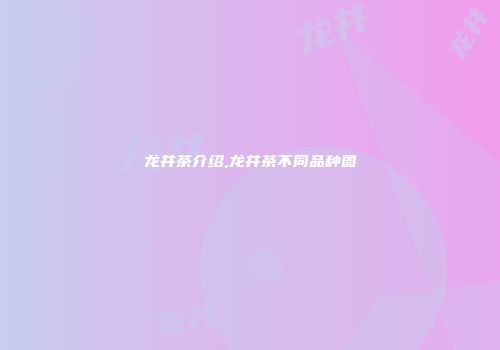 龙井茶介绍,龙井茶不同品种图