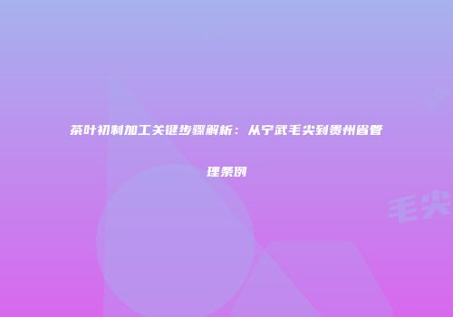 茶叶初制加工关键步骤解析：从宁武毛尖到贵州省管理条例