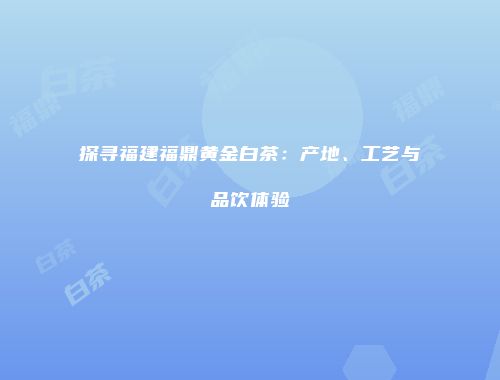 探寻福建福鼎黄金白茶：产地、工艺与品饮体验