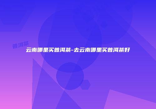 云南哪里买普洱茶-去云南哪里买普洱茶好