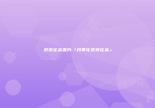 玳玳花茶图片「月季花玳玳花茶」