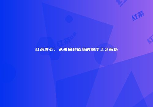 红茶匠心：从采摘到成品的制作工艺解析