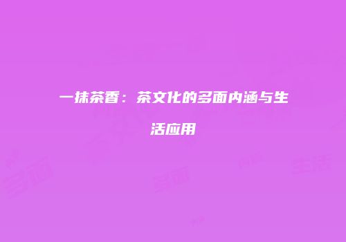 一抹茶香：茶文化的多面内涵与生活应用