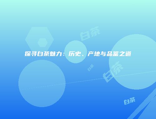 探寻白茶魅力：历史、产地与品鉴之道