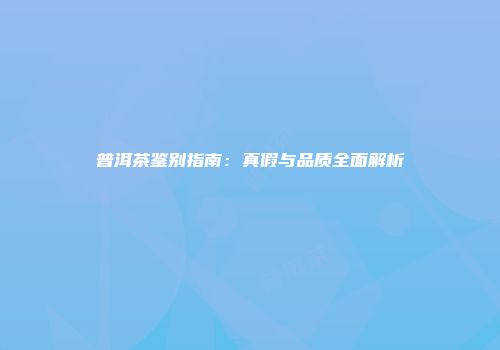 普洱茶鉴别指南：真假与品质全面解析