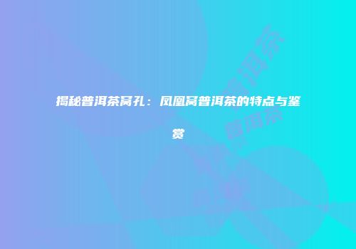 揭秘普洱茶窝孔：凤凰窝普洱茶的特点与鉴赏