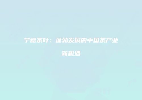 宁德茶叶：蓬勃发展的中国茶产业新机遇