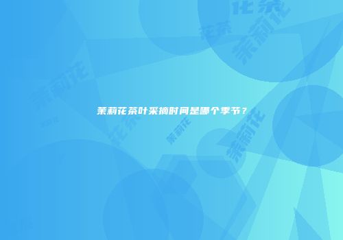 茉莉花茶叶采摘时间是哪个季节？