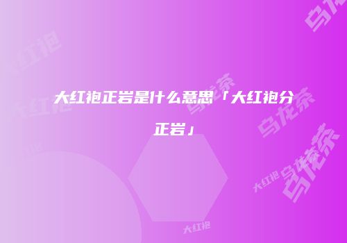 大红袍正岩是什么意思「大红袍分正岩」