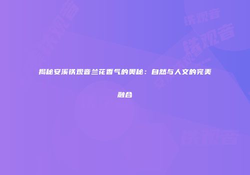 揭秘安溪铁观音兰花香气的奥秘：自然与人文的完美融合