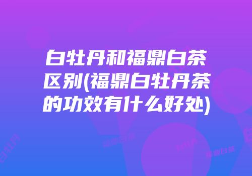 白牡丹和福鼎白茶区别(福鼎白牡丹茶的功效有什么好处)