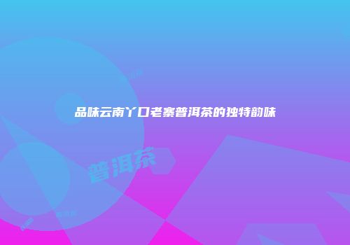 品味云南丫口老寨普洱茶的独特韵味