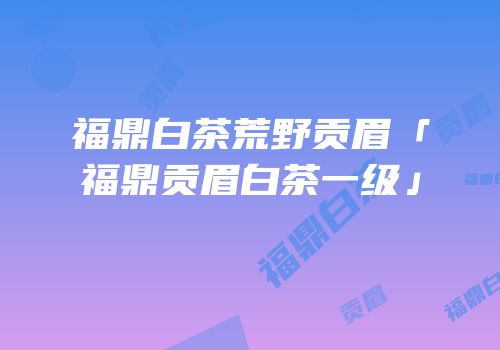 福鼎白茶荒野贡眉「福鼎贡眉白茶一级」