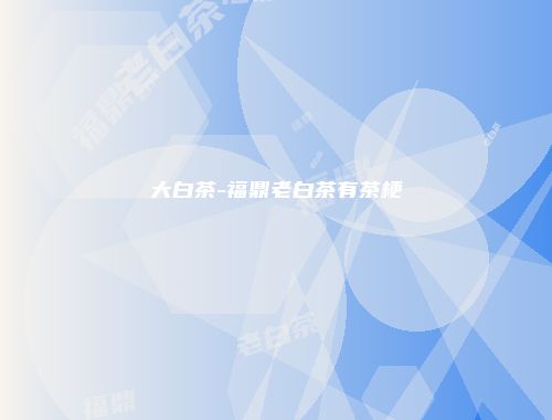 大白茶-福鼎老白茶有茶梗