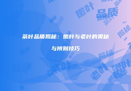 茶叶品质揭秘：嫩叶与老叶的奥秘与辨别技巧