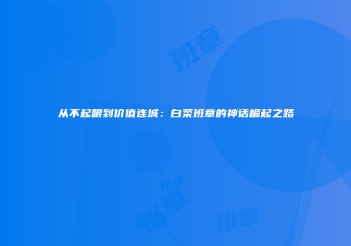 从不起眼到价值连城：白菜班章的神话崛起之路