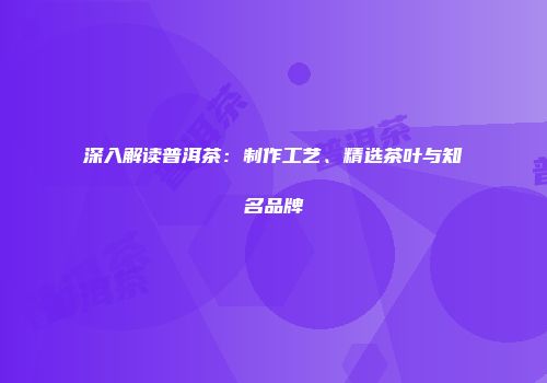 深入解读普洱茶：制作工艺、精选茶叶与知名品牌