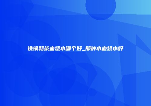 铁锅和茶壶烧水哪个好_那种水壶烧水好