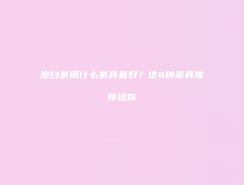 泡白茶用什么茶具最好？这4种茶具推荐给你