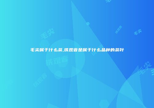 毛尖属于什么茶,铁观音是属于什么品种的茶叶