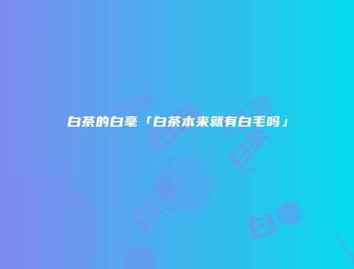 白茶的白毫「白茶本来就有白毛吗」