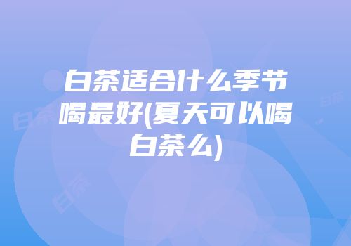 白茶适合什么季节喝最好(夏天可以喝白茶么)